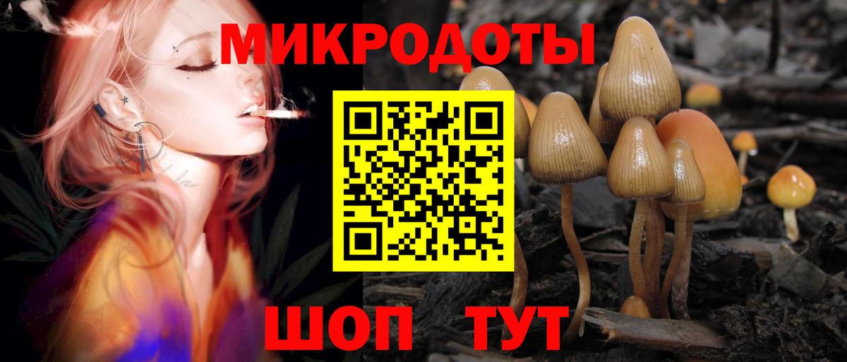 Галлюциногенные грибы Psilocybe Великие Луки